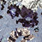 Blue Pattern