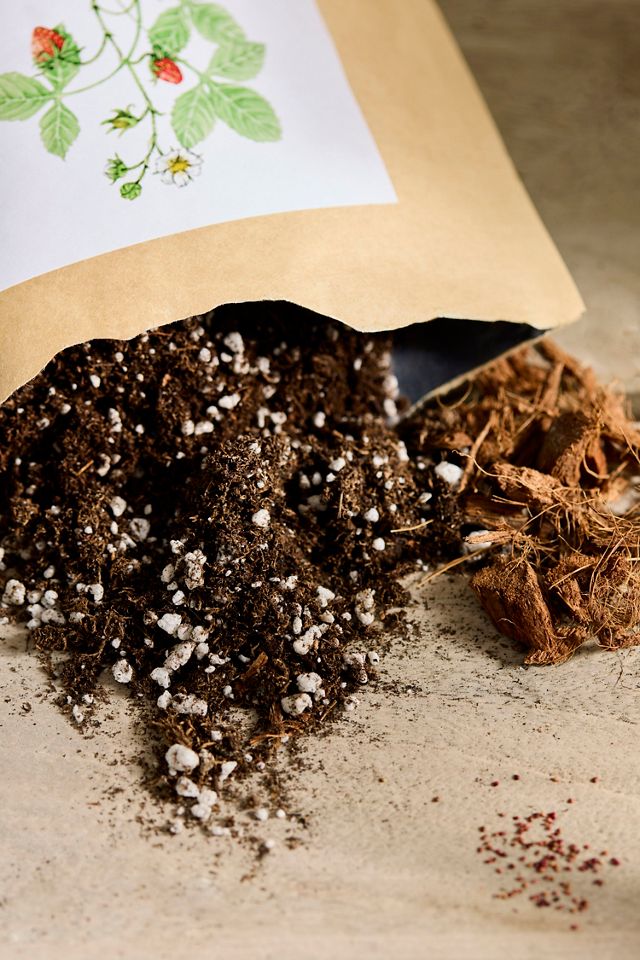 Garden Grow Bag #1