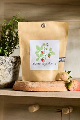 Garden Grow Bag