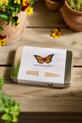 Butterfly Garden Seed Kit