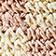 Blush Ivory