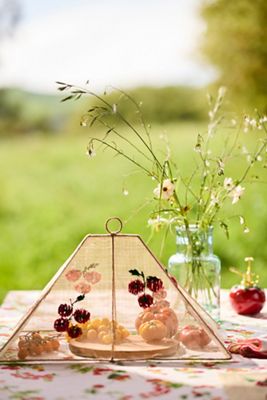 Fruit + Vegetable Dining, Kitchen + Décor | Terrain