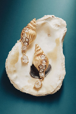 Oceanus Mercenaria Conch Shell Earrings In Gold