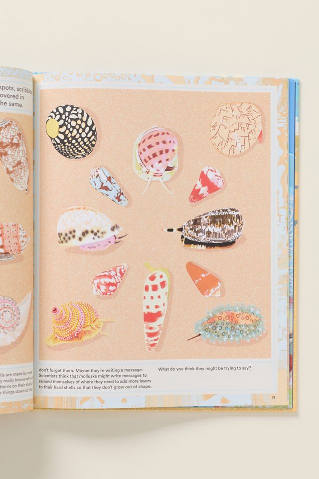 What A Shell Can Tell Hardcover Kids Book #1
