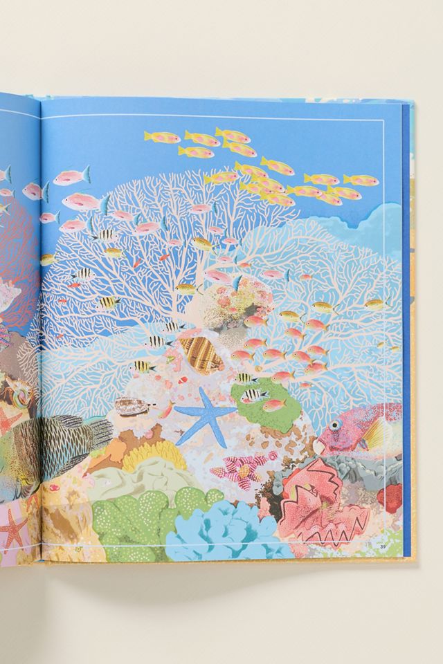 What A Shell Can Tell Hardcover Kids Book #2