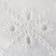 White Eyelet