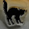 Scaredy Cat