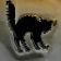Scaredy Cat