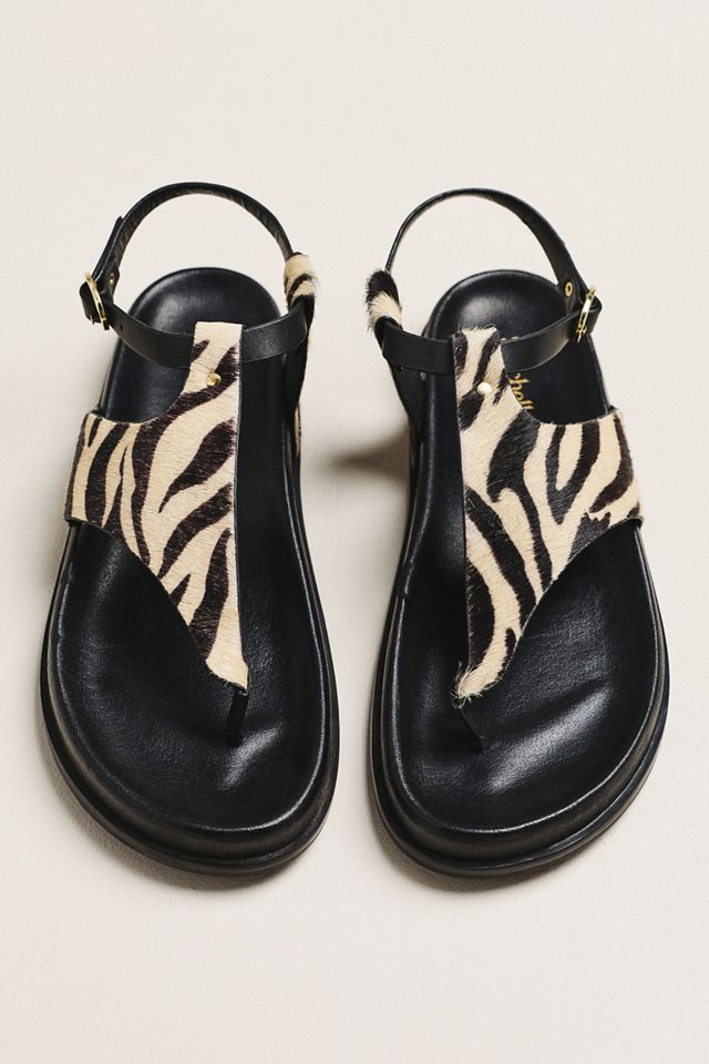 Seychelles In The Zone T-Strap Sandals | Anthropologie