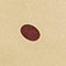 Yellow Dot