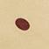 Yellow Dot
