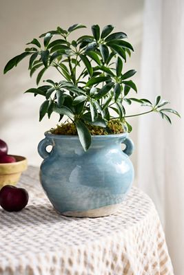 Blue Terracotta Double Handle Jar