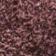Huckleberry/Lemon Grass