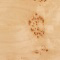 Light Burl
