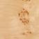 Light Burl