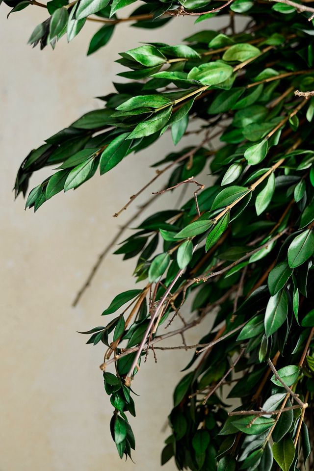 Preserved Green Myrtle + Curly Willow Wreath #1