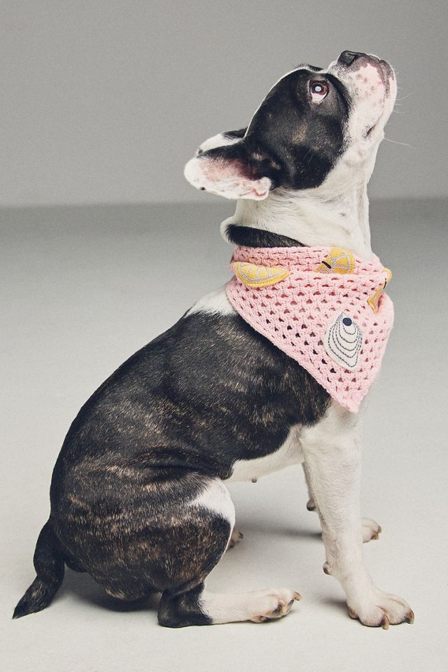 By Anthropologie Crochet Pet Bandana #2
