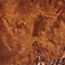 Dark Burl