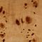 Light Burl