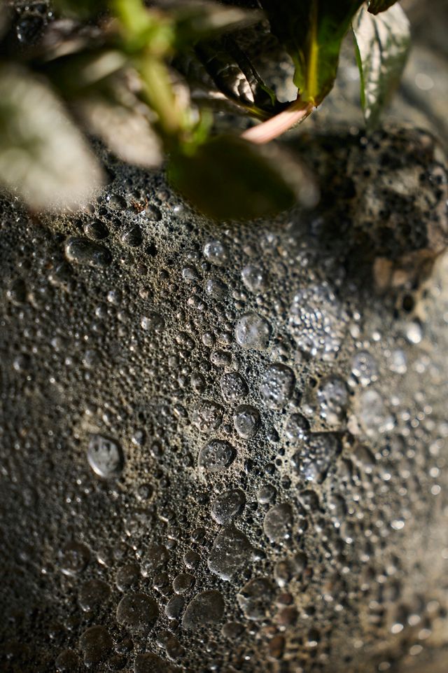 Barnacle Cauldron Planter #2