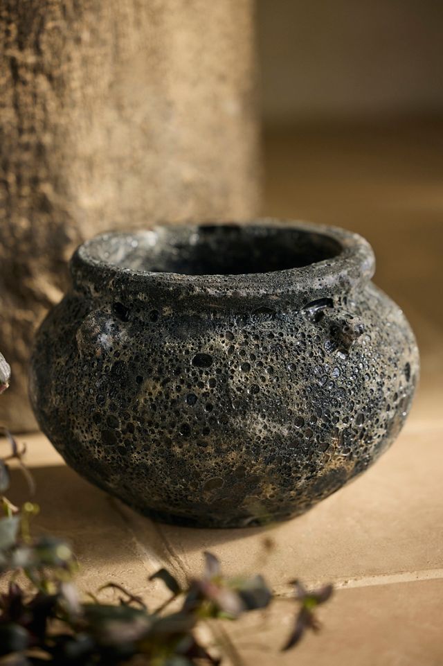 Barnacle Cauldron Planter #3