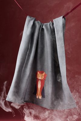 Cat Halloween Dish Towel