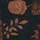 Brown Floral
