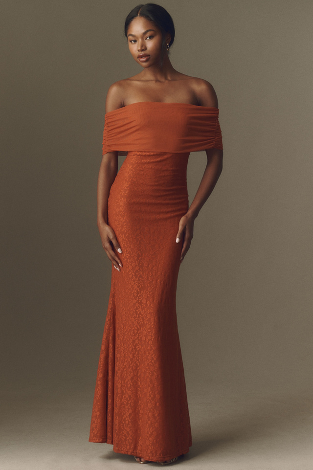 BHLDN Off-The-Shoulder Lace and Mesh Maxi Dress