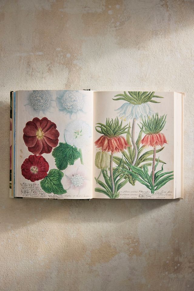 John Derian Sticker Book II | Terrain