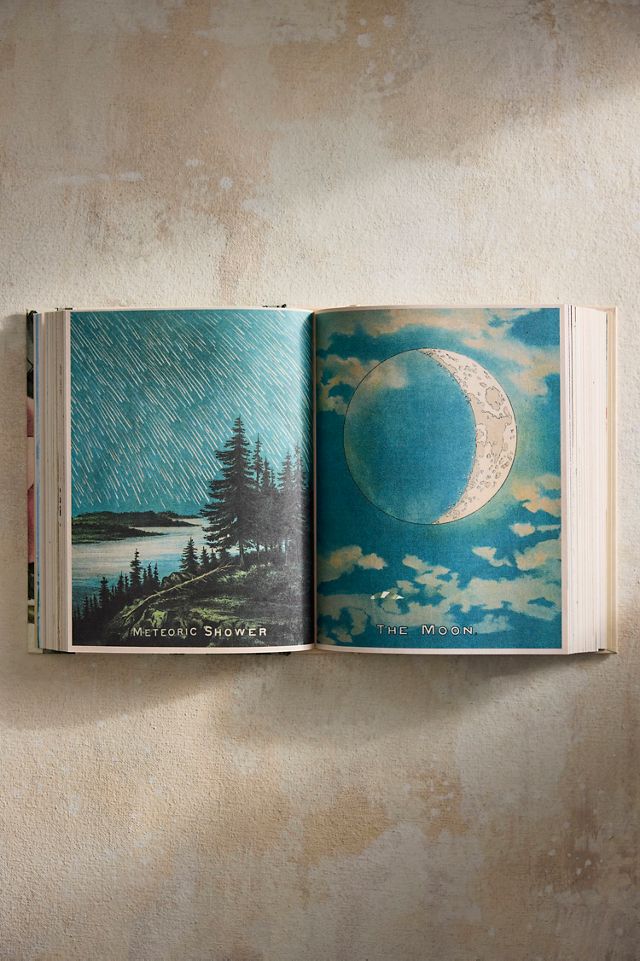 John Derian Sticker Book II | Terrain