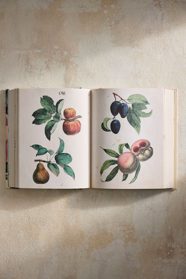 John Derian Sticker Book II #3