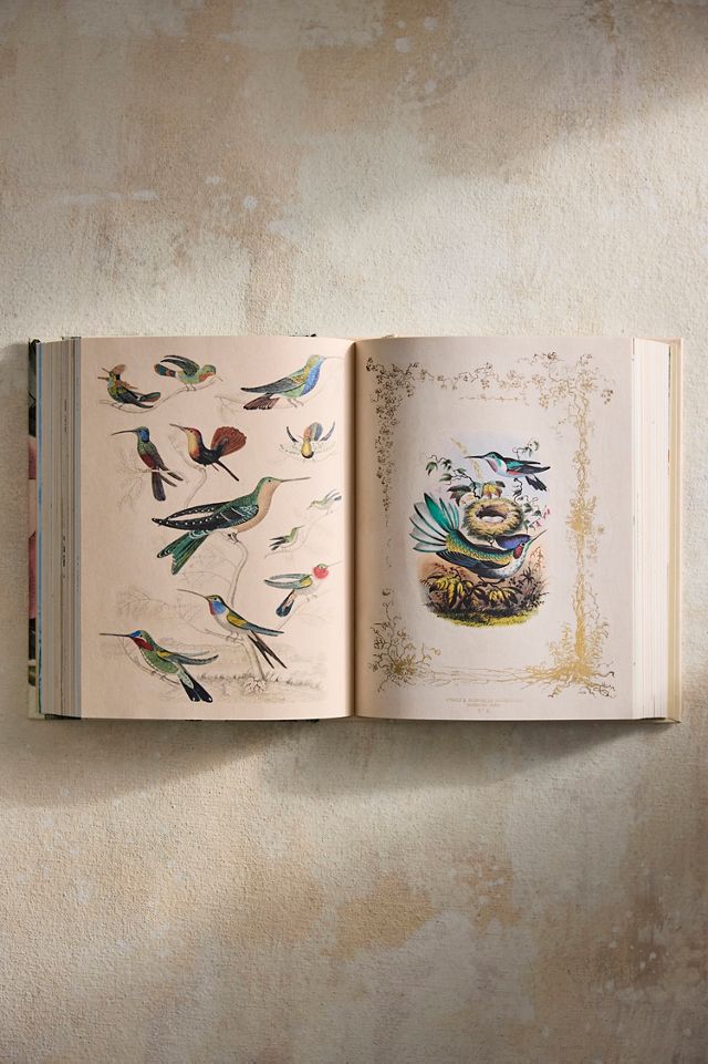 John Derian Sticker Book II | Terrain