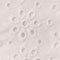 White Eyelet