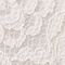 White Rose Lace