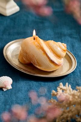 Seashell Candle