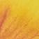 Yellow/White