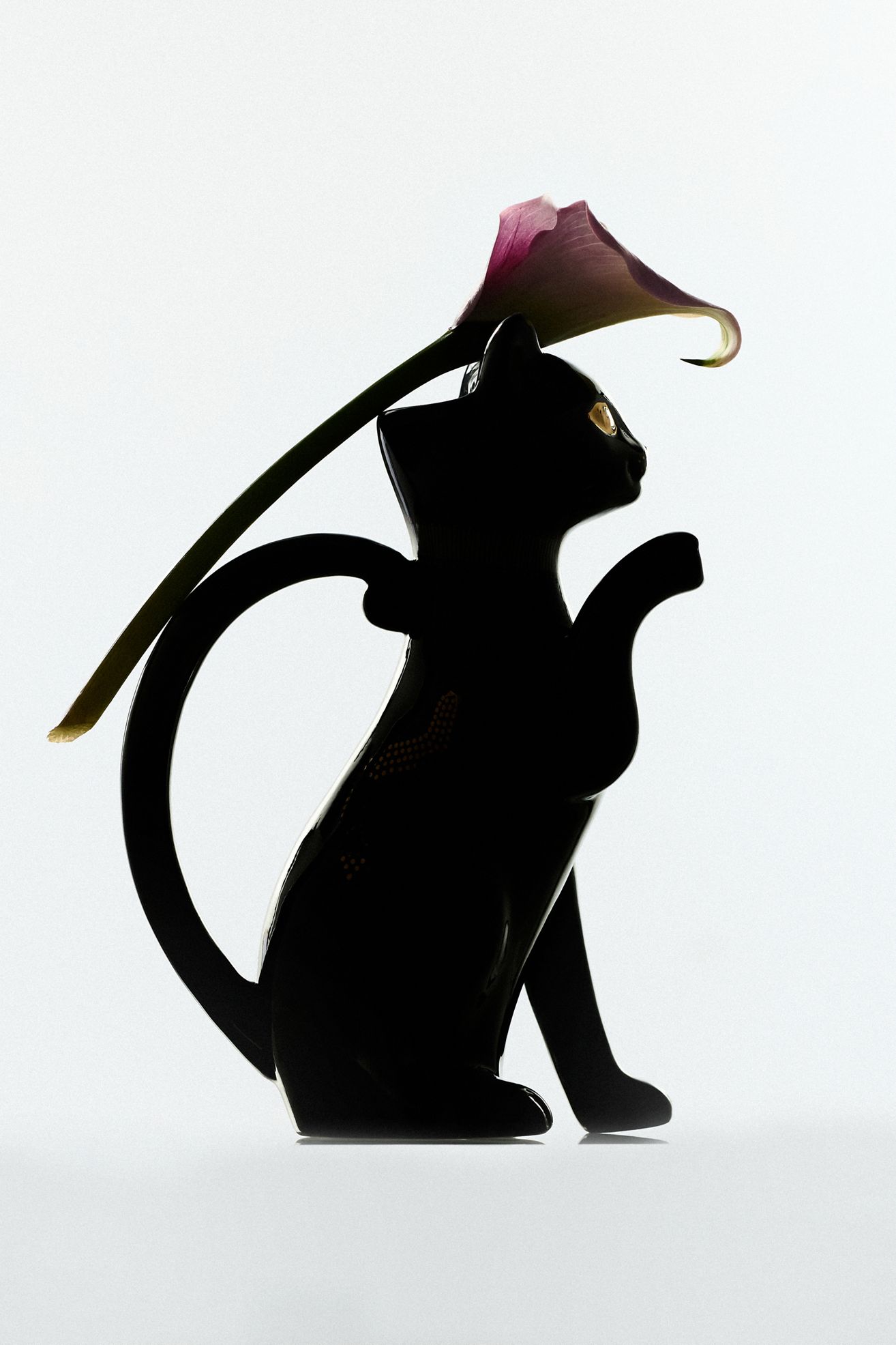 Florence Balducci Black Cat Stoneware Pitcher - Black, One Size