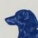 Dachshund