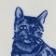 Tabby