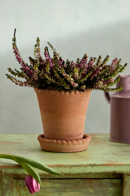 Terrain Beaded Rim Galestro Pot + Saucer Set In Pink
