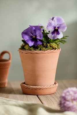 Rope Rim Galestro Pot + Saucer Set