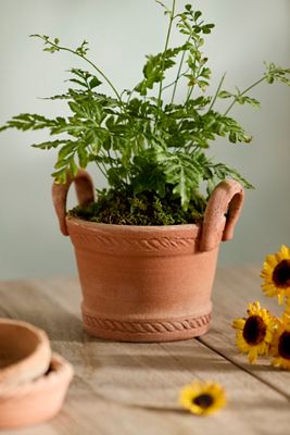 Basket Handle Galestro Pot