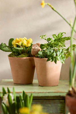 Terrain Bird Icon Galestro Pot In Pink