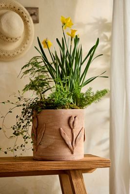 Tulip Icon Terracotta Planter