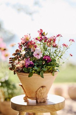 Paloma Ceramic Planter, 23