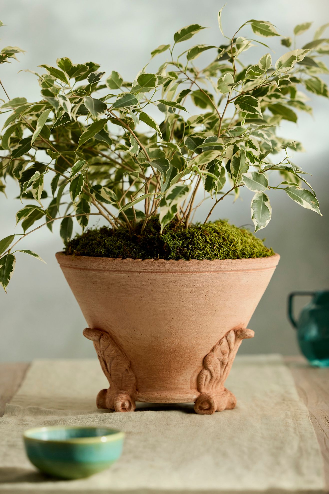 Leaf Footed Galestro Pot - Terracotta, 14"