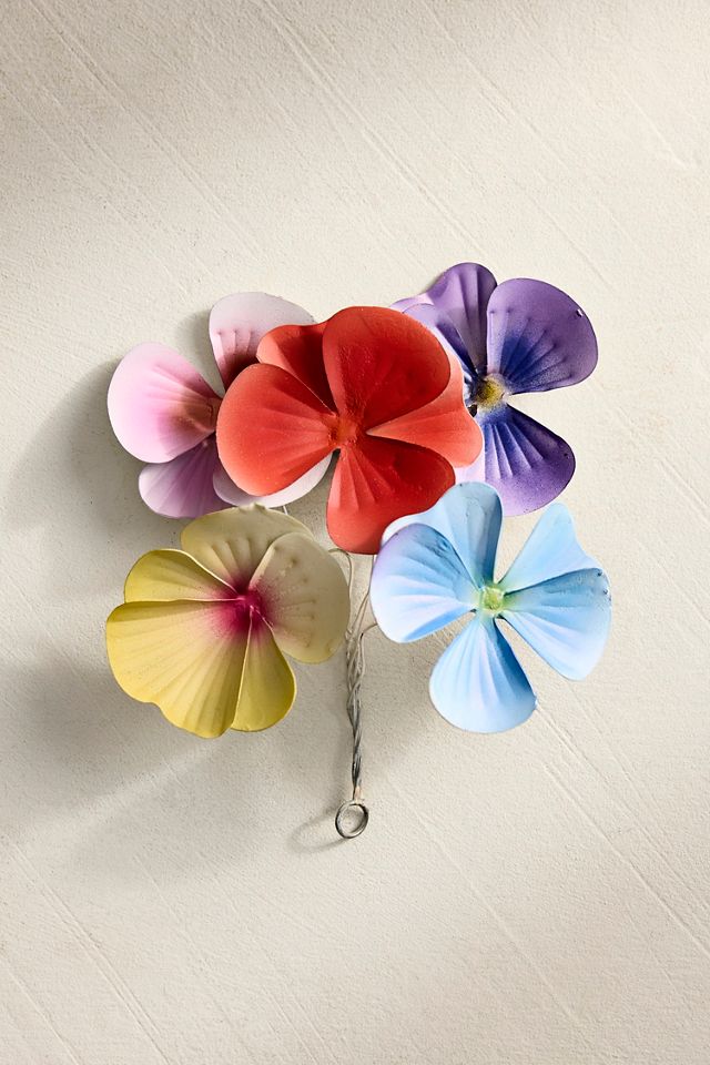 Pansy Iron Bunch #2