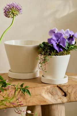 Classic Glazed Galestro Pot + Saucer Set
