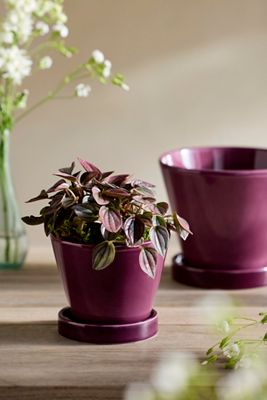 Classic Glazed Galestro Pot + Saucer Set