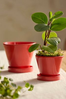 Classic Glazed Galestro Pot + Saucer Set